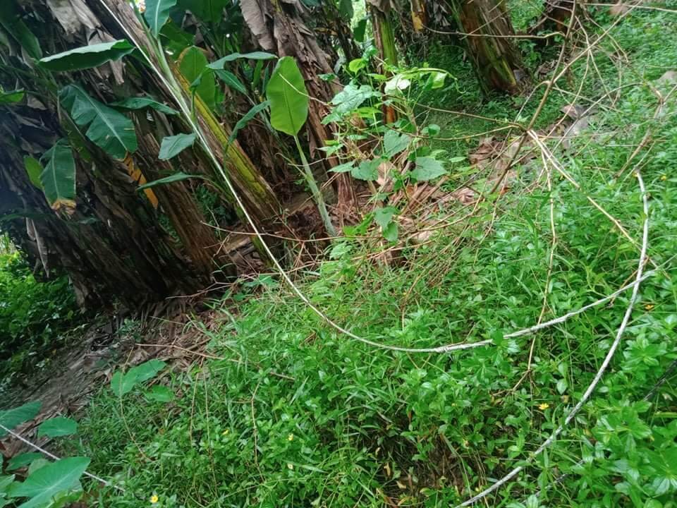 UNSCHEDULED POWER INTERRUPTION, OCTOBER 11, 2021 AFFECTING SOME PORTION OF TOBOSO