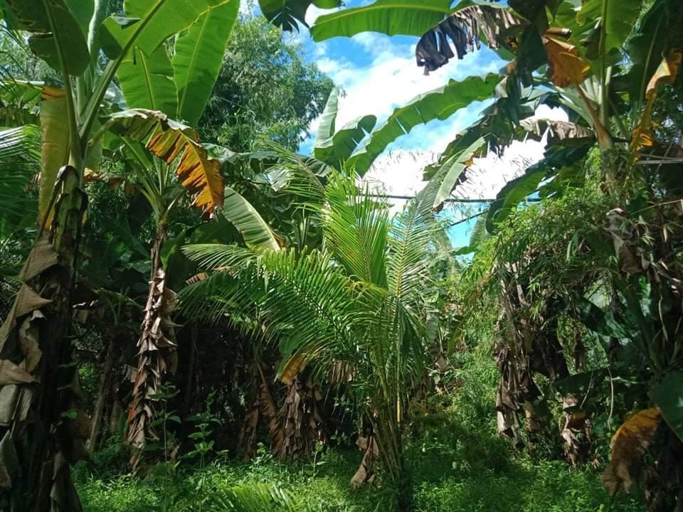 UNSCHEDULED POWER INTERRUPTION, OCTOBER 11, 2021 AFFECTING SOME PORTION OF TOBOSO