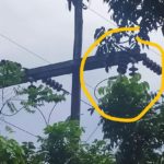 UPDATE ON THE UNSCHEDULED POWER INTERRUPTION - MARCH 13, 2021