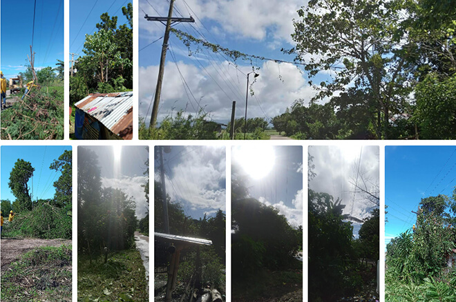 NONECO Maintenance Activity: Line Clearing fom Crossing Tortosa to Brgy. Tortosa Proper