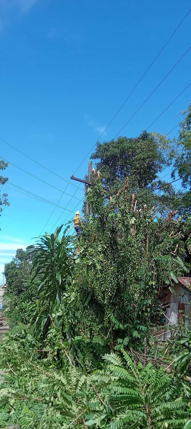 NONECO Maintenance Activity: Line Clearing fom Crossing Tortosa to Brgy. Tortosa Proper