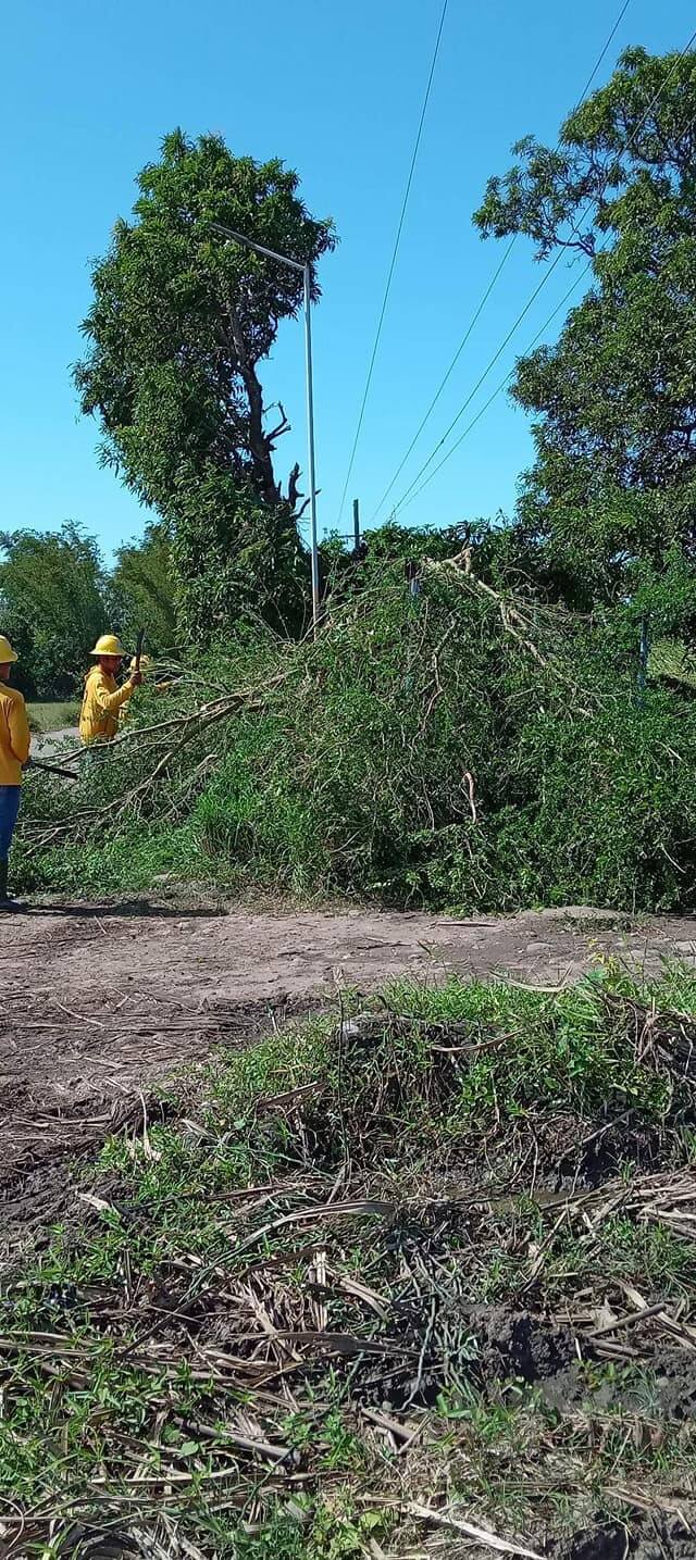 NONECO Maintenance Activity: Line Clearing fom Crossing Tortosa to Brgy. Tortosa Proper