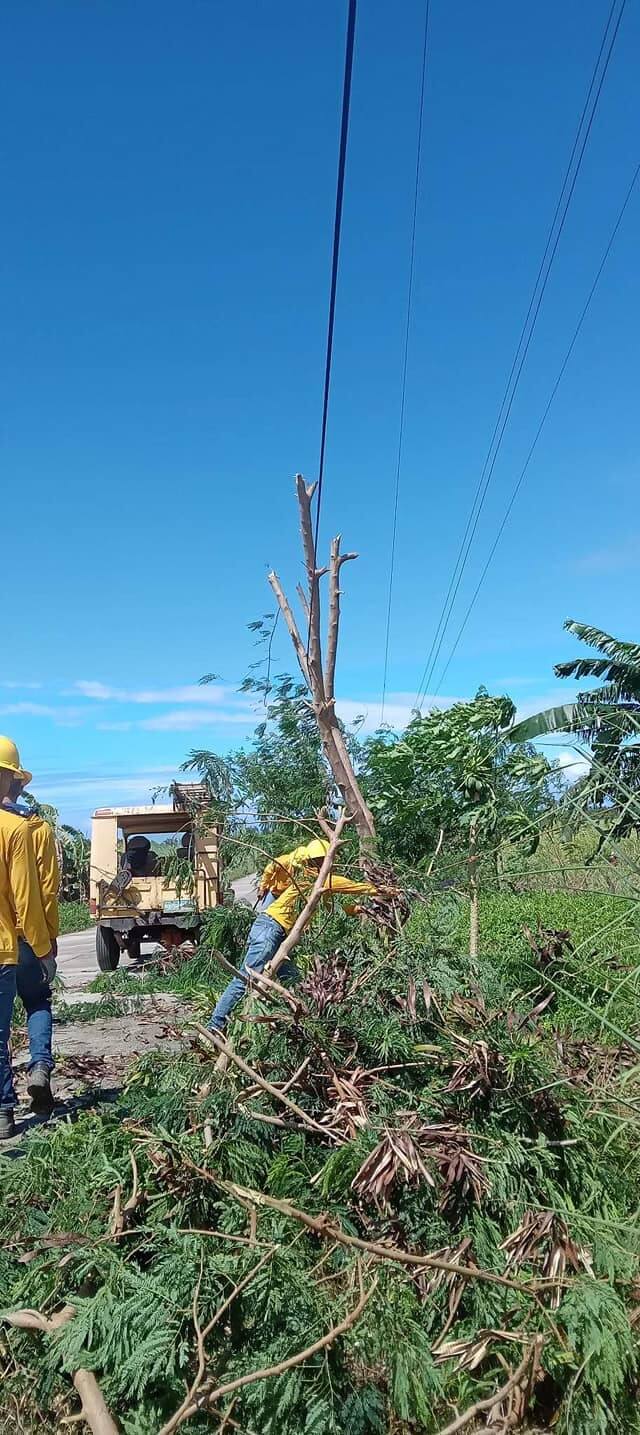 NONECO Maintenance Activity: Line Clearing fom Crossing Tortosa to Brgy. Tortosa Proper