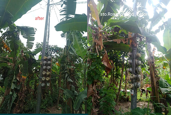 NONECO Maintenance Activity: Meter Clustering at Sto. Rosario Subdivision, EB Magalona